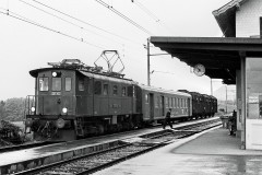 rmsmb-abendlicher-gueterzug-mit-personenbefoerderung-377759_by-Walter-Ruetsch